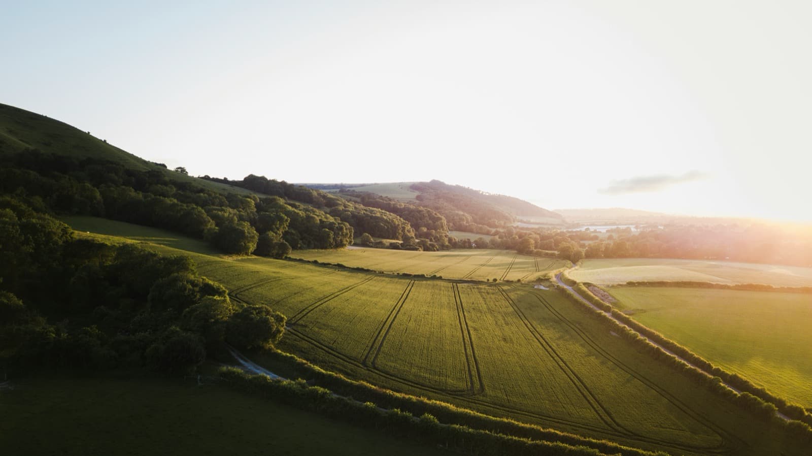 Professional ecologist conducting a field survey in UK countryside